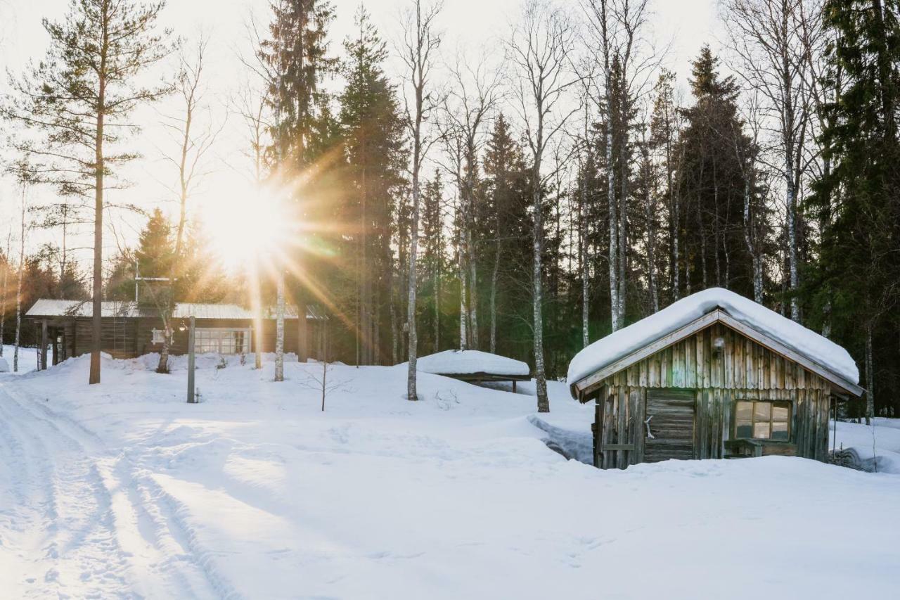 Ollero Eco Lodge Rovaniemi Exterior foto